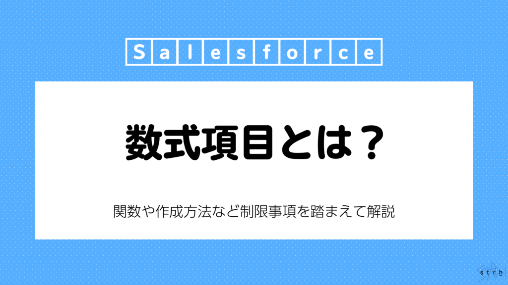 数式項目とは？
