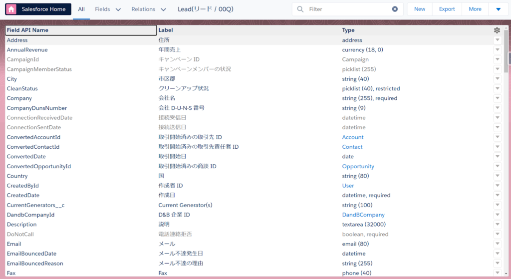 API参照名やフィールド情報などのメタデータが一覧表示されます